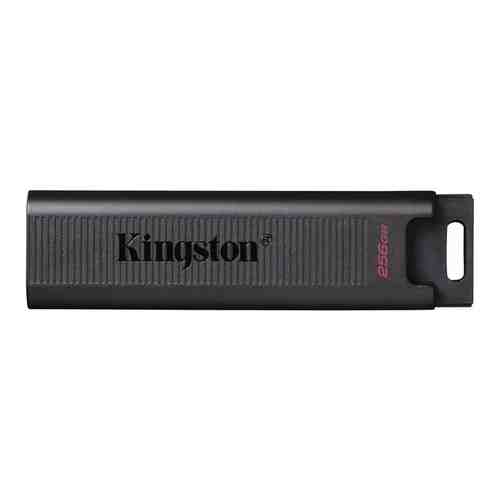 Флеш Диск Kingston 256Gb DataTraveler Type-C Max DTMAX/256GB USB3.2 черный (DTMAX/256GB)