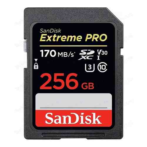 Карта памяти Sandisk Extreme Pro SDXC Card 256GB - 170MB/s V30 UHS-I U3 (SDSDXXY-256G-GN4IN)