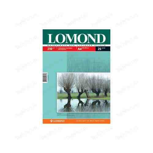 Lomond Бумага двухсторонняя глянцевая/матовая (0102021)