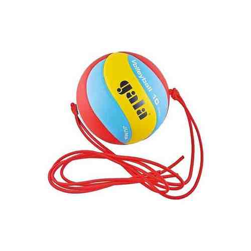 Мяч волейбольный Gala Jump арт. BV5481S р.5