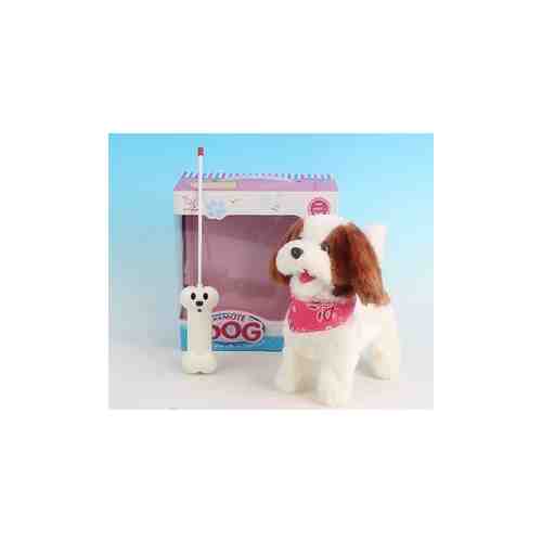 Радиоуправляемая плюшевая собака Create Toys Болонка - 9698B4